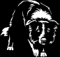 Preview: Aufkleber Border Collie