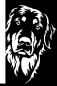 Preview: Aufkleber Hovawart Kopf