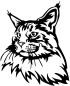 Preview: Aufkleber Maine Coon