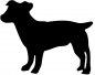 Preview: Jack Russell Terrier stehend Silhouette