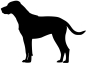 Preview: Rhodesian Ridgeback Viszla stehend Silhouette