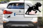 Preview: Autoaufkleber Cane Corso rennend Silhouette