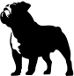 Preview: Englische Bulldogge stehend Silhouette