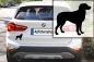 Preview: Autoaufkleber Epagneul Breton stehend Silhouette