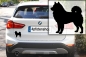Preview: Autoaufkleber Eurasier stehend Silhouette
