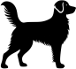 Preview: Golden Retriever stehend Silhouette