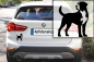 Preview: Autoaufkleber Großer Schweizer Sennenhund stehend Silhouette