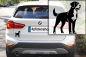 Preview: Autoaufkleber Großer Schweizer Sennenhund stehend Silhouette