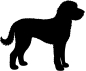 Preview: Labradoodle stehend Silhouette