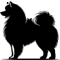 Preview: Aufkleber Samojede