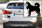 Preview: Autoaufkleber Siberian Husky stehend Silhouette