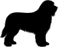 Preview: Bearded Collie Silhouette