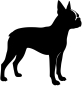 Preview: Boston Terrier stehend Silhouette