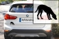 Preview: Autoaufkleber Magyar Vizsla stehend Silhouette