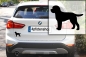 Preview: Autoaufkleber Lagotto Romagnolo stehend Silhouette