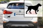 Preview: Autoaufkleber Magyar Vizsla (Drahthaar) stehend Silhouette