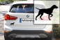 Preview: Autoaufkleber Magyar Vizsla stehend Silhouette