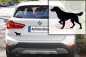 Preview: Autoaufkleber Münsterländer stehend Silhouette
