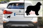 Preview: Autoaufkleber Neufundländer stehend Silhouette