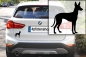 Preview: Autoaufkleber Podenco stehend Silhouette