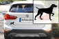 Preview: Autoaufkleber Weimaraner stehend Silhouette
