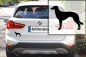 Preview: Autoaufkleber Silken Windsprite (Langhaarwhippet) stehend Silhouette