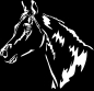 Preview: Aufkleber Pferd Araber
