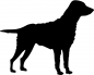 Preview: Curly-coated Retriever stehend Silhouette