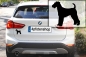 Preview: Autoaufkleber Airedale Terrier stehend Silhouette