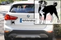 Preview: Autoaufkleber "Appenzeller Sennenhund" Kontur