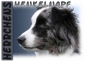 Preview: Fototasse Australian Shepherd