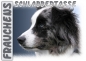 Preview: Fototasse Australian Shepherd Herrchen/Frauchen