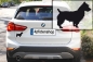 Preview: Autoaufkleber Australian Terrier stehend Silhouette