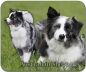 Preview: Mousepad Australian Shepherd #6