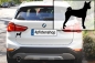 Preview: Autoaufkleber Basenji stehend Silhouette