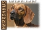 Preview: Fototasse Bayerischer Gebirgsschweißhund