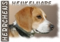 Preview: Fototasse Beagle
