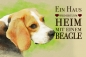 Preview: Metallschild Beagle