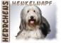 Preview: Fototasse Bearded Collie