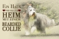 Preview: Metallschild Bearded Collie