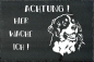 Preview: Schieferplatte Berner Sennenhund