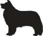 Preview: Border Collie stehend Silhouette