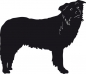 Preview: Border Collie stehend Silhouette