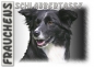 Preview: Fototasse Border Collie