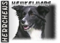 Preview: Fototasse Border Collie Herrchen/Frauchen