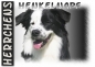 Preview: Fototasse Border Collie Herrchen/Frauchen