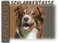 Preview: Fototasse Border Collie