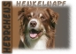 Preview: Fototasse Border Collie Herrchen/Frauchen