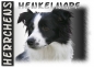 Preview: Fototasse Border Collie Herrchen/Frauchen