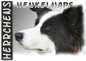 Preview: Fototasse Border Collie Herrchen/Frauchen